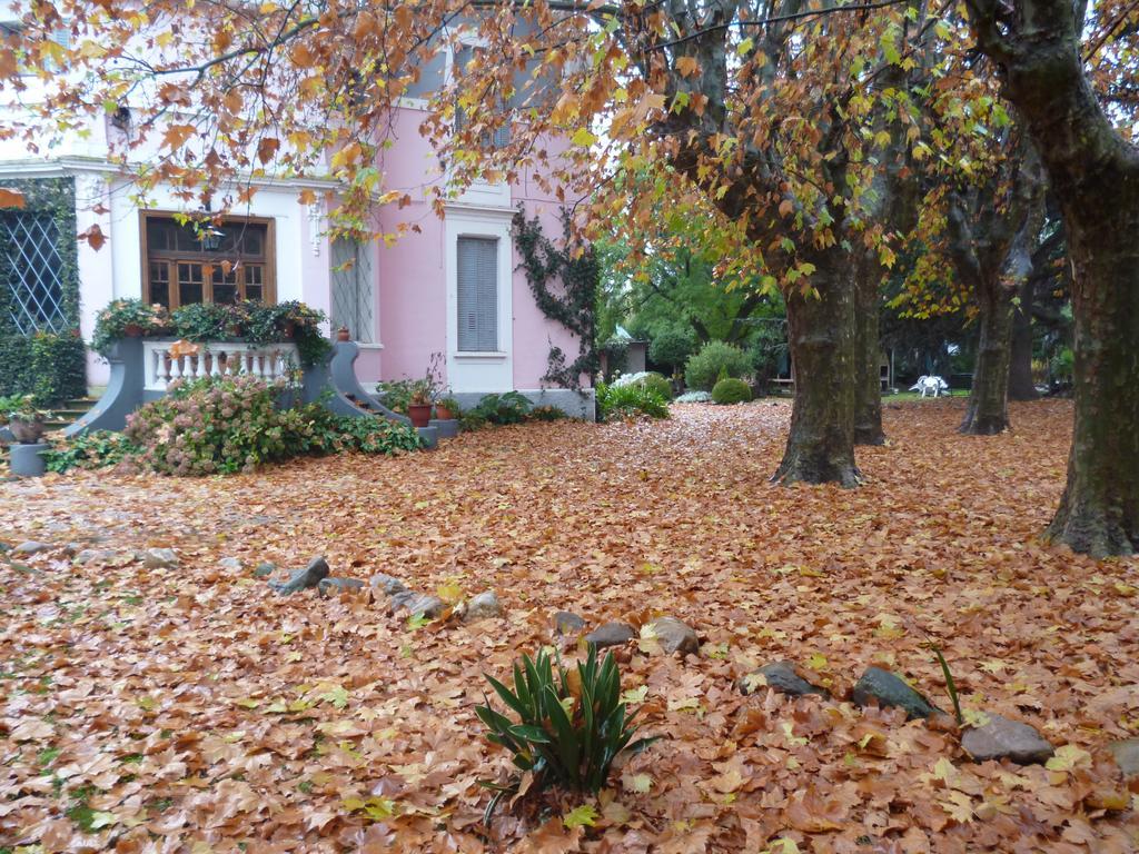 Hotel Alihuen Sierra de la Ventana Eksteriør billede